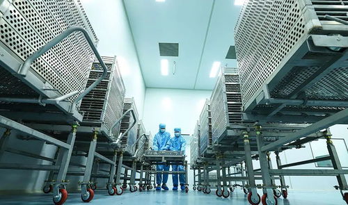 科技賦能植物工廠，張掖農特產品提質增效